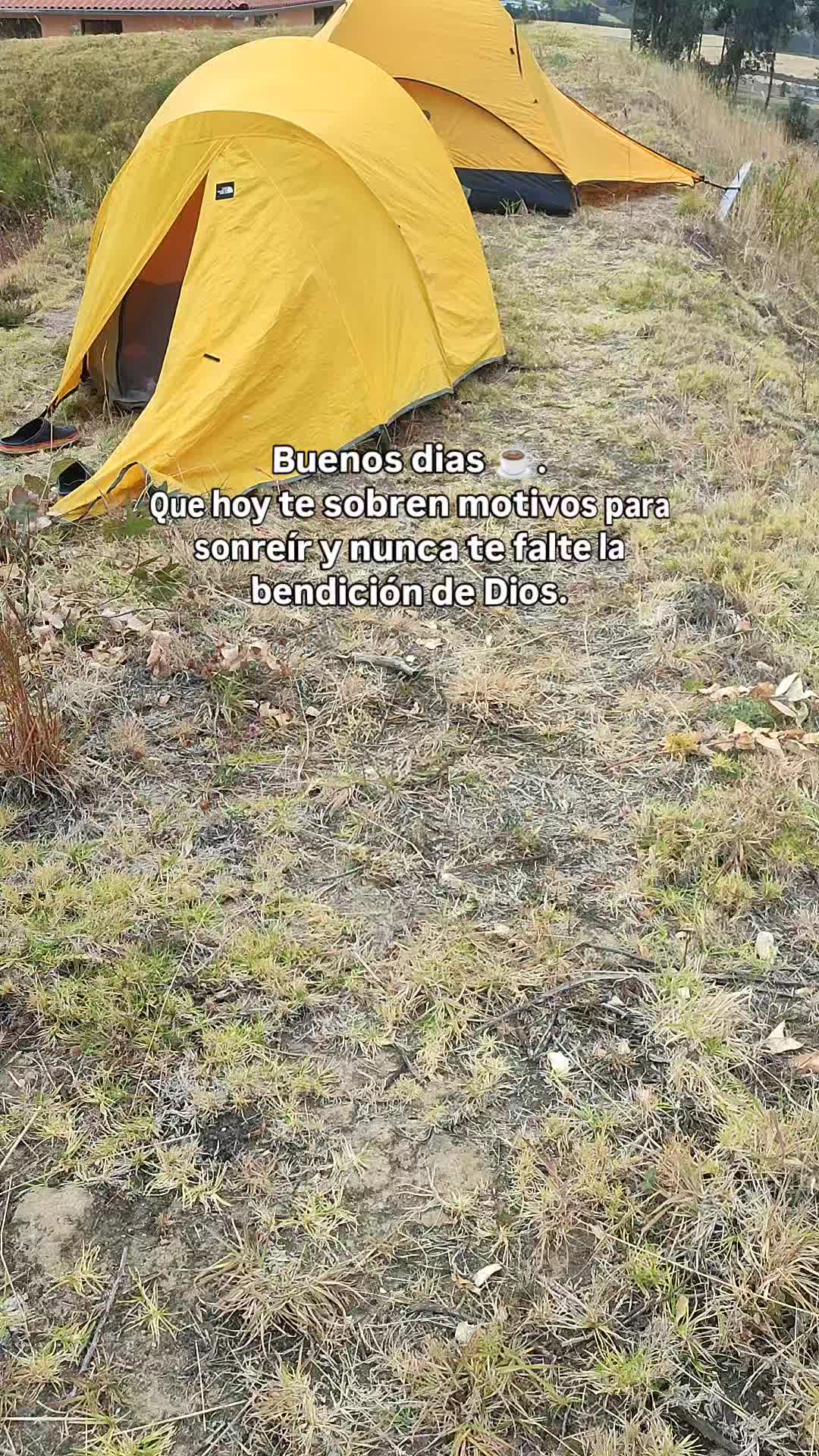 @marc