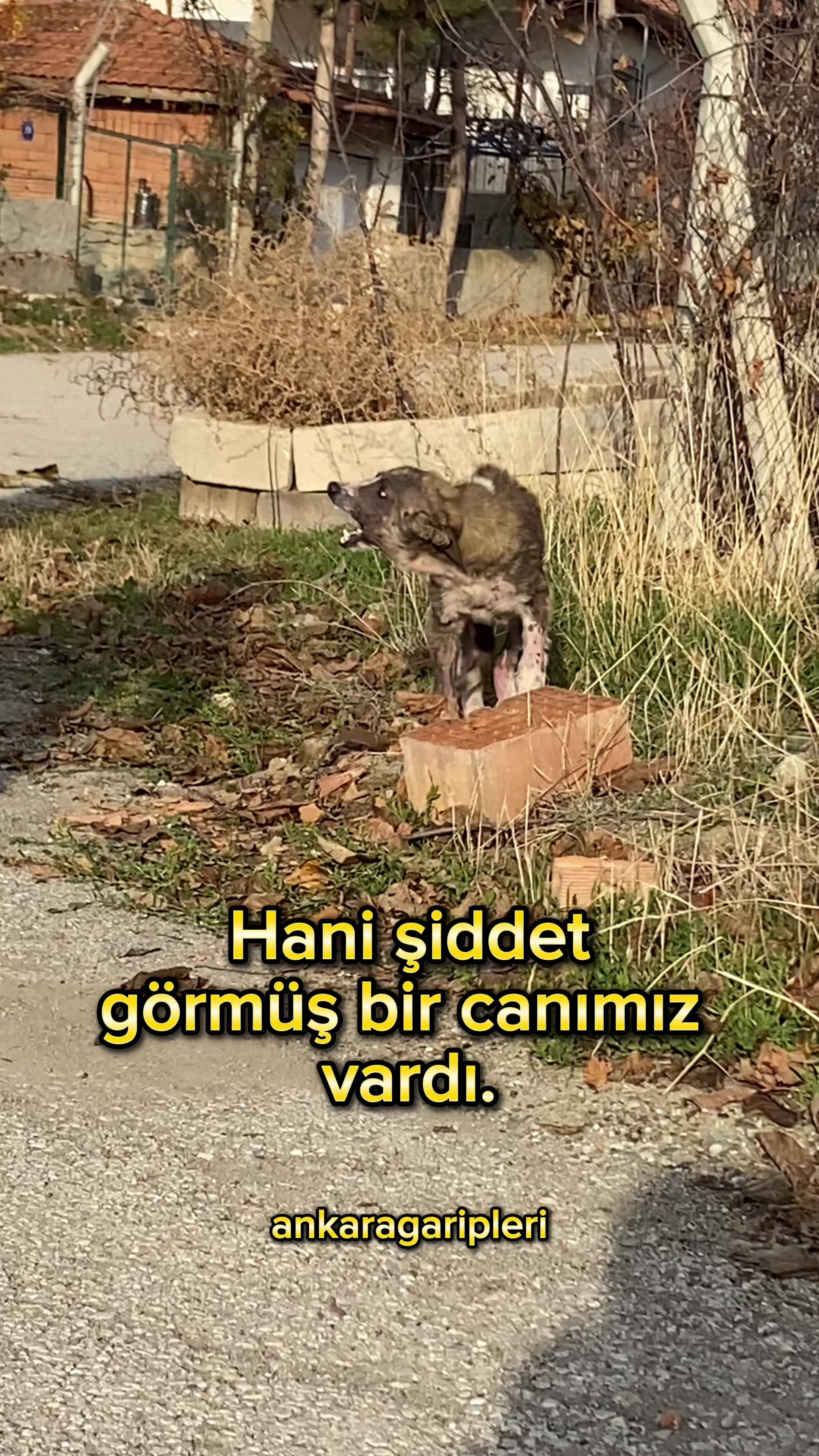 @Asiye