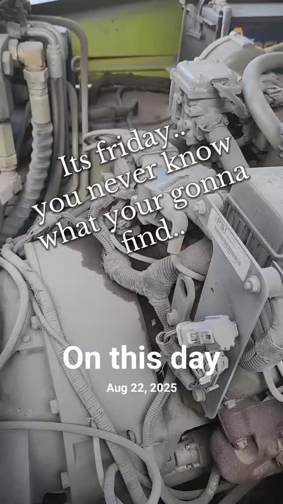 @feral_veteran
