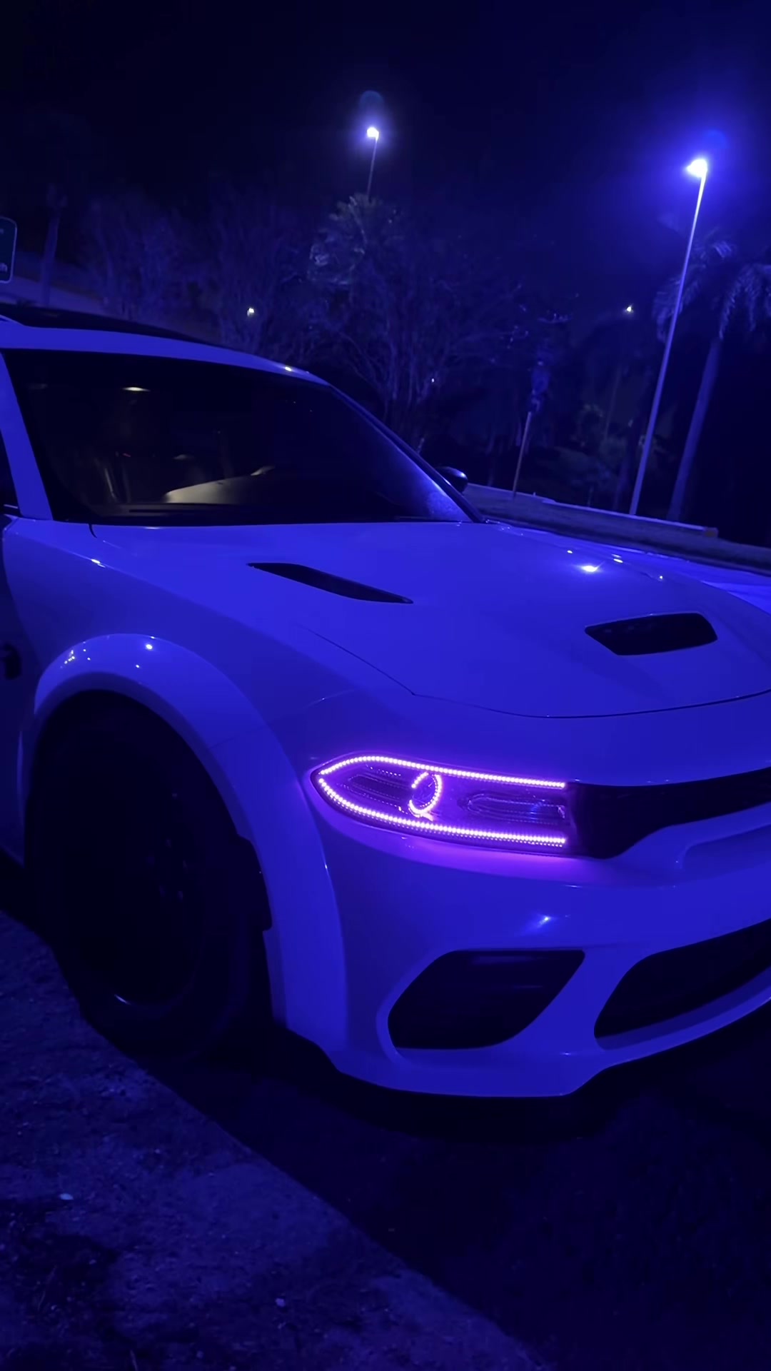 @srt ant