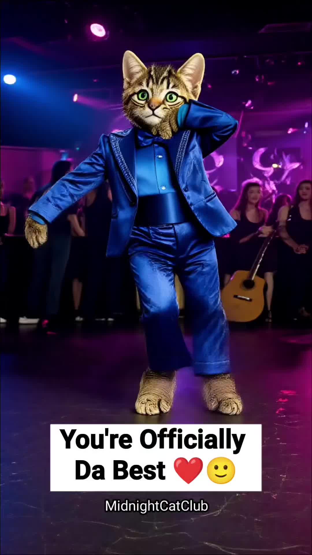 @MidnightCatClub