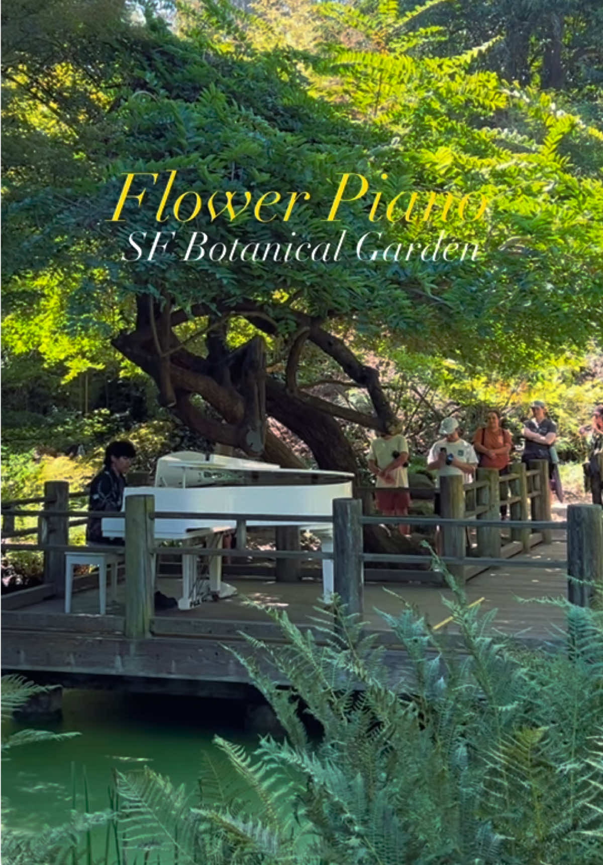 @lana_travel_creator