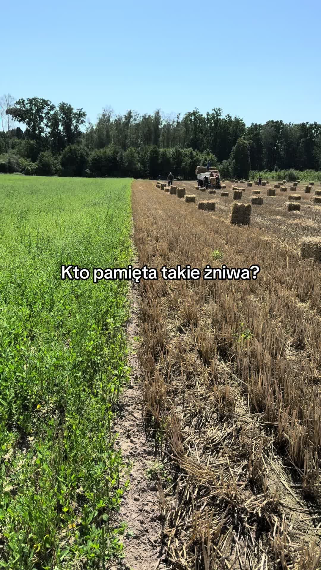 @zbuntowana_rolniczka