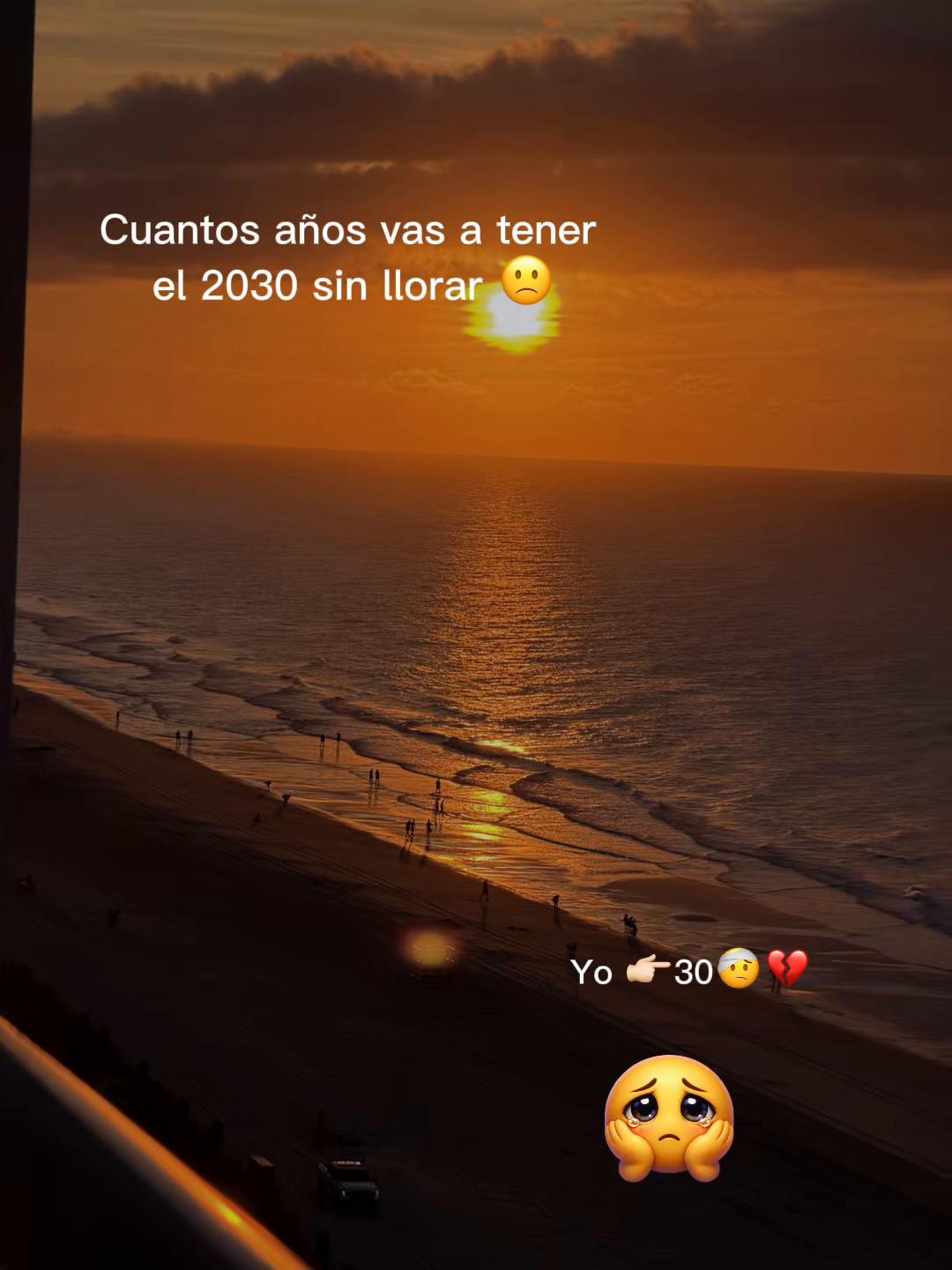 @aylinmartinez460