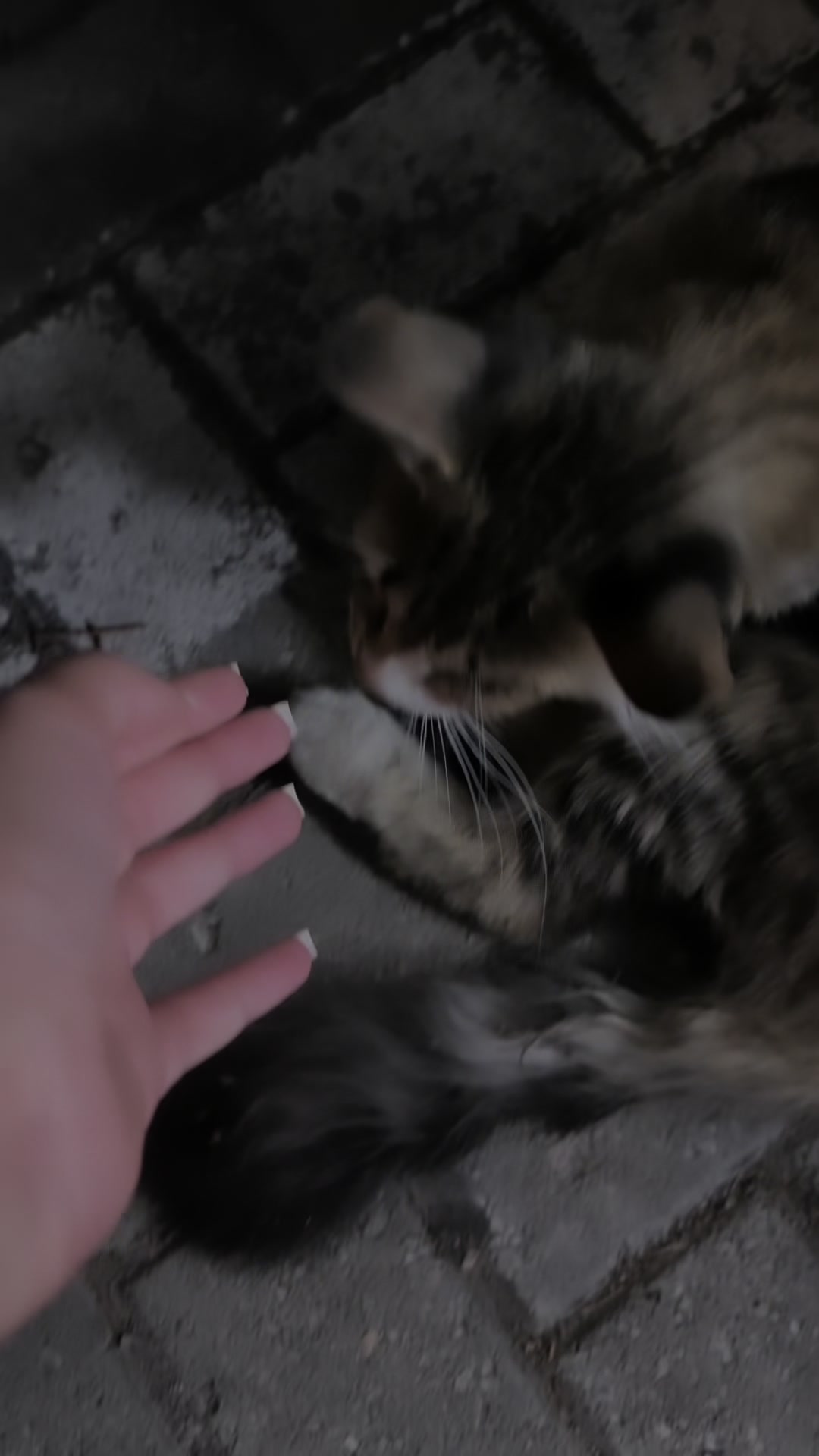 @‘