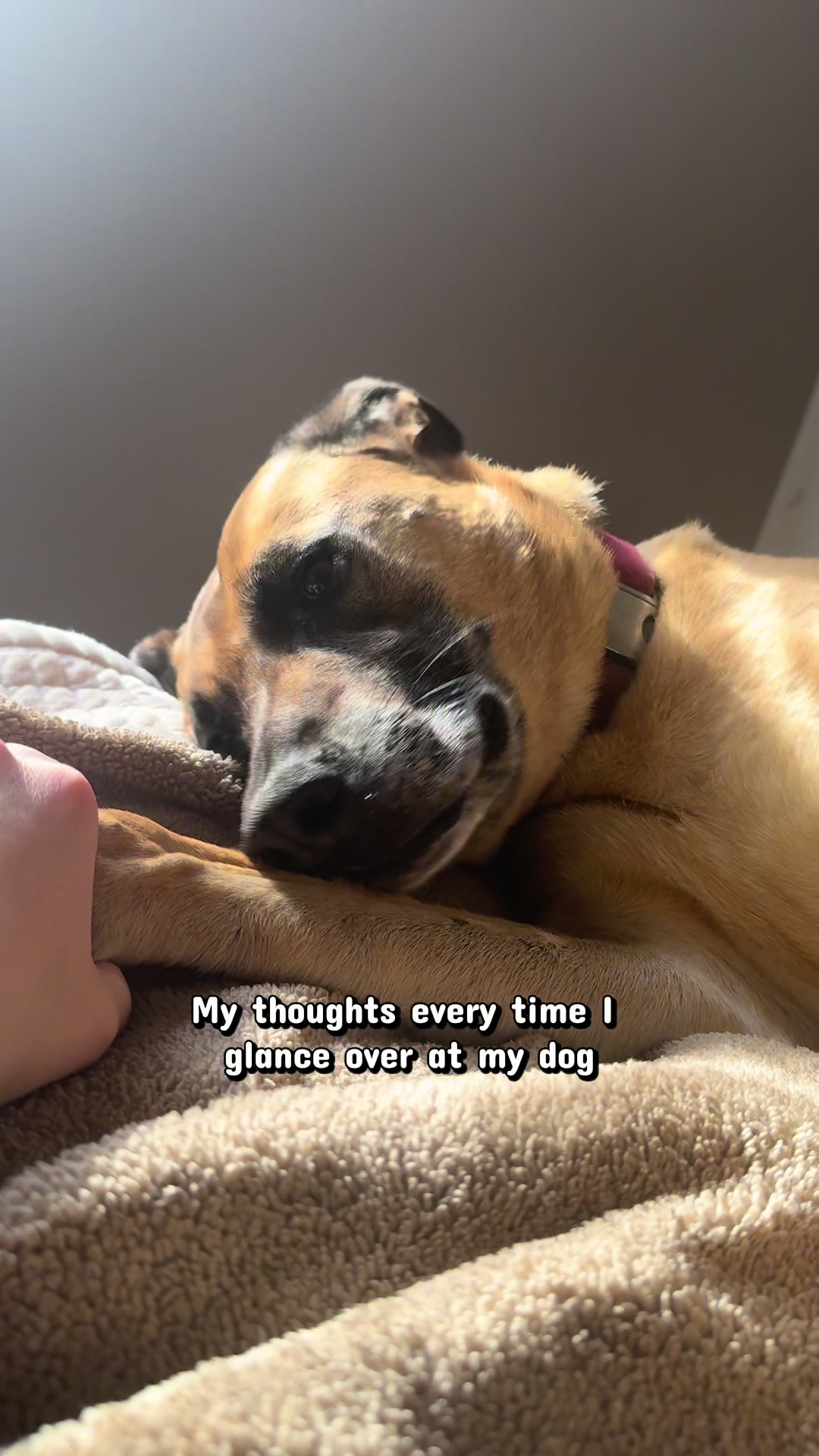 @Maggiemaytheshepherd