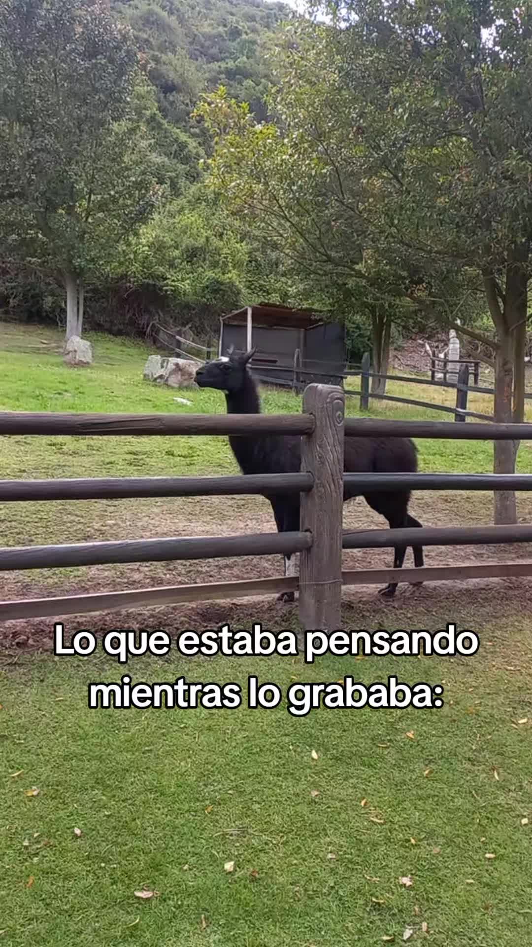 @Jesselle🧸☁️