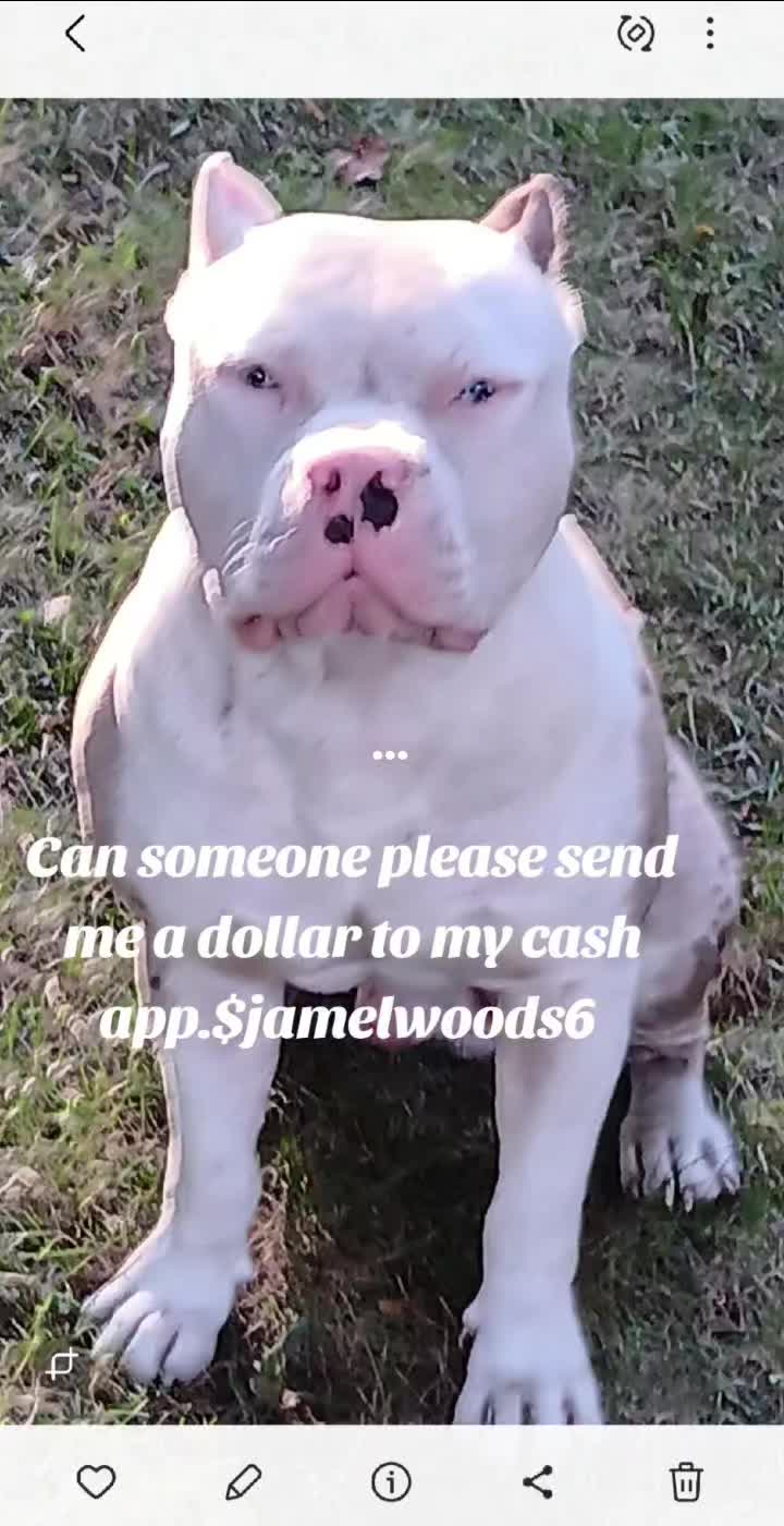 @eggrollrides