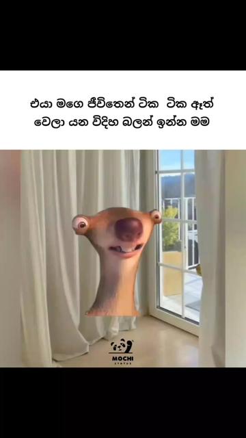 @<м&sigma;&cent;н&iota; ѕт&alpha;т&upsilon;ѕ🐼🤍