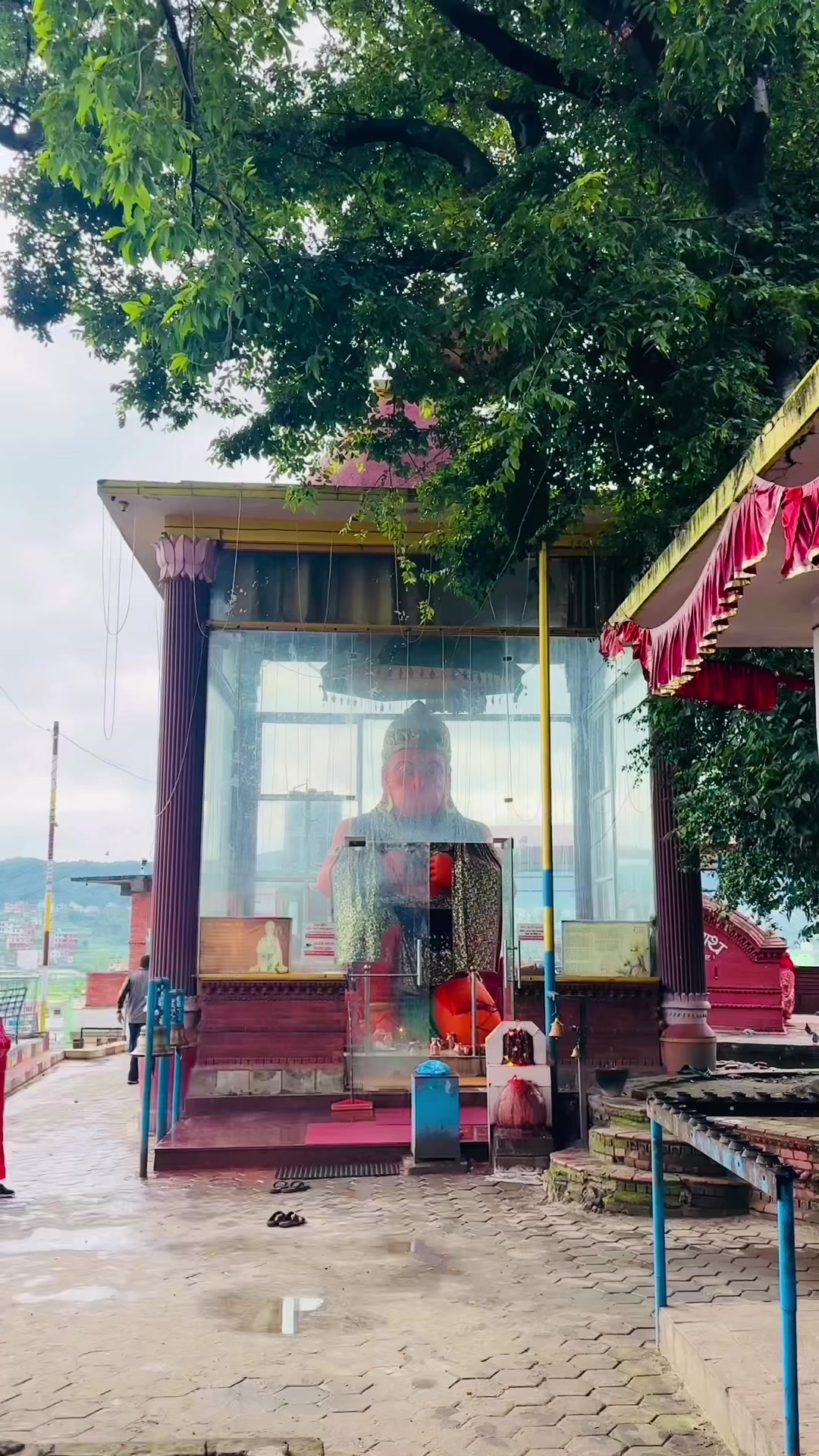@8055🧿