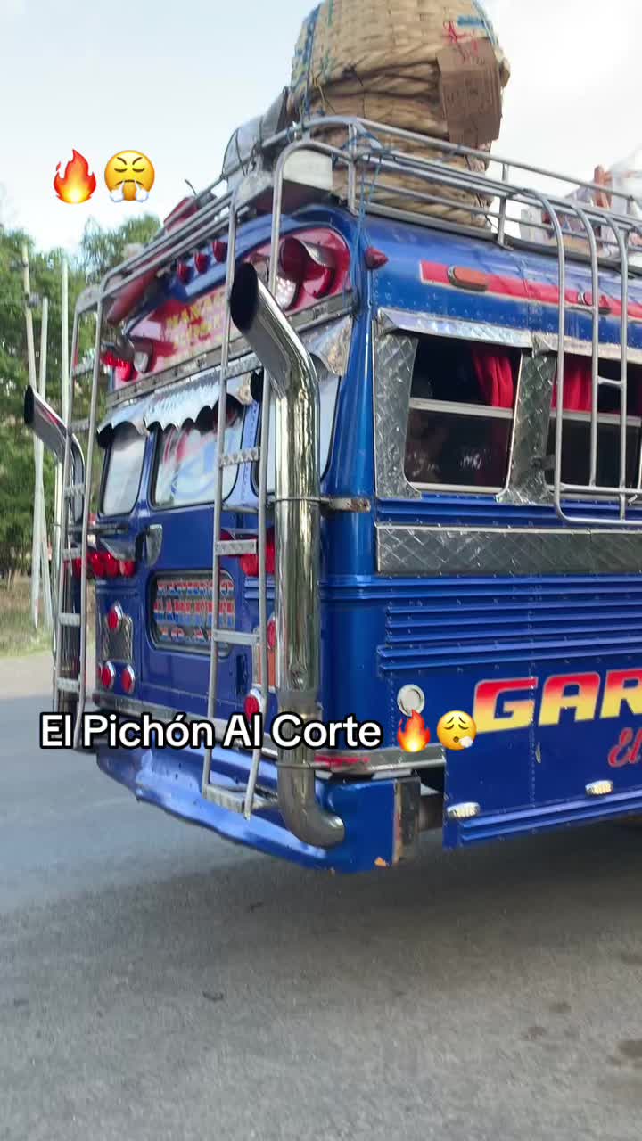 @j.alenic21