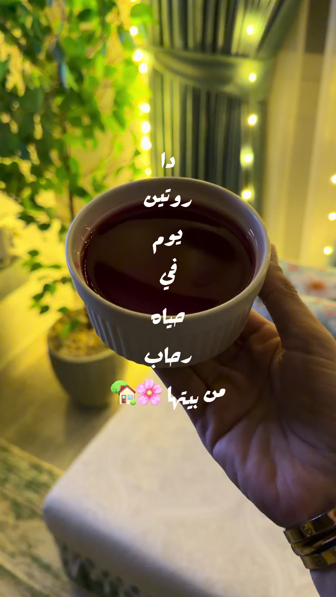 @رحاب حسن