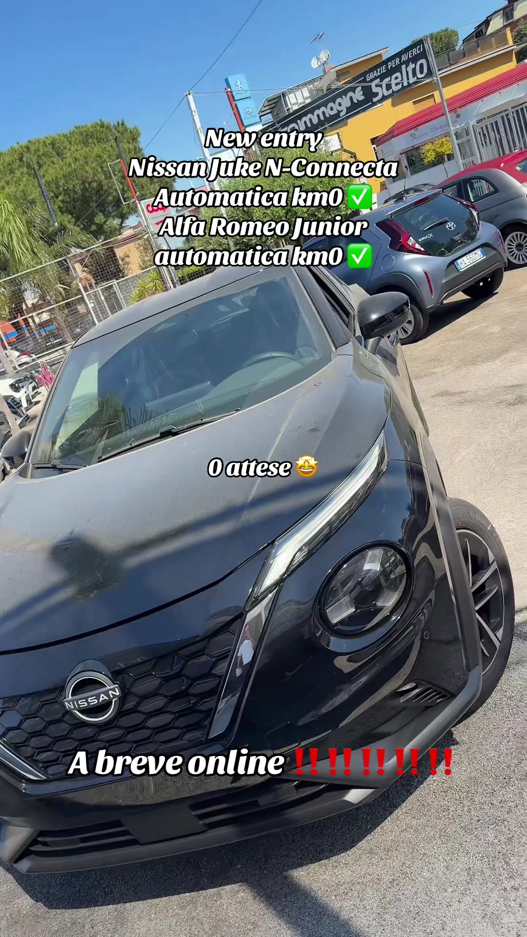 @AUTOIMMAGINE