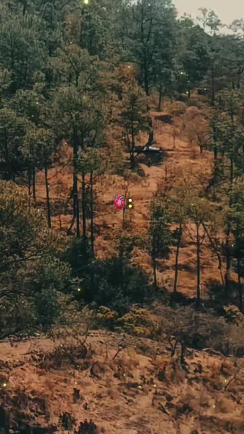 @Karina Eunice Sepúlveda