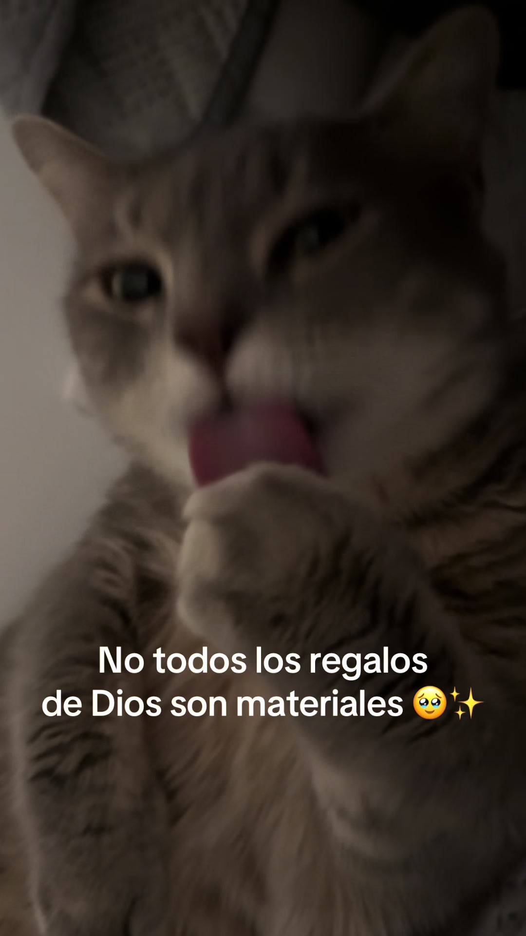 @Magaly SD