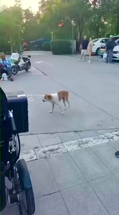 @Funny