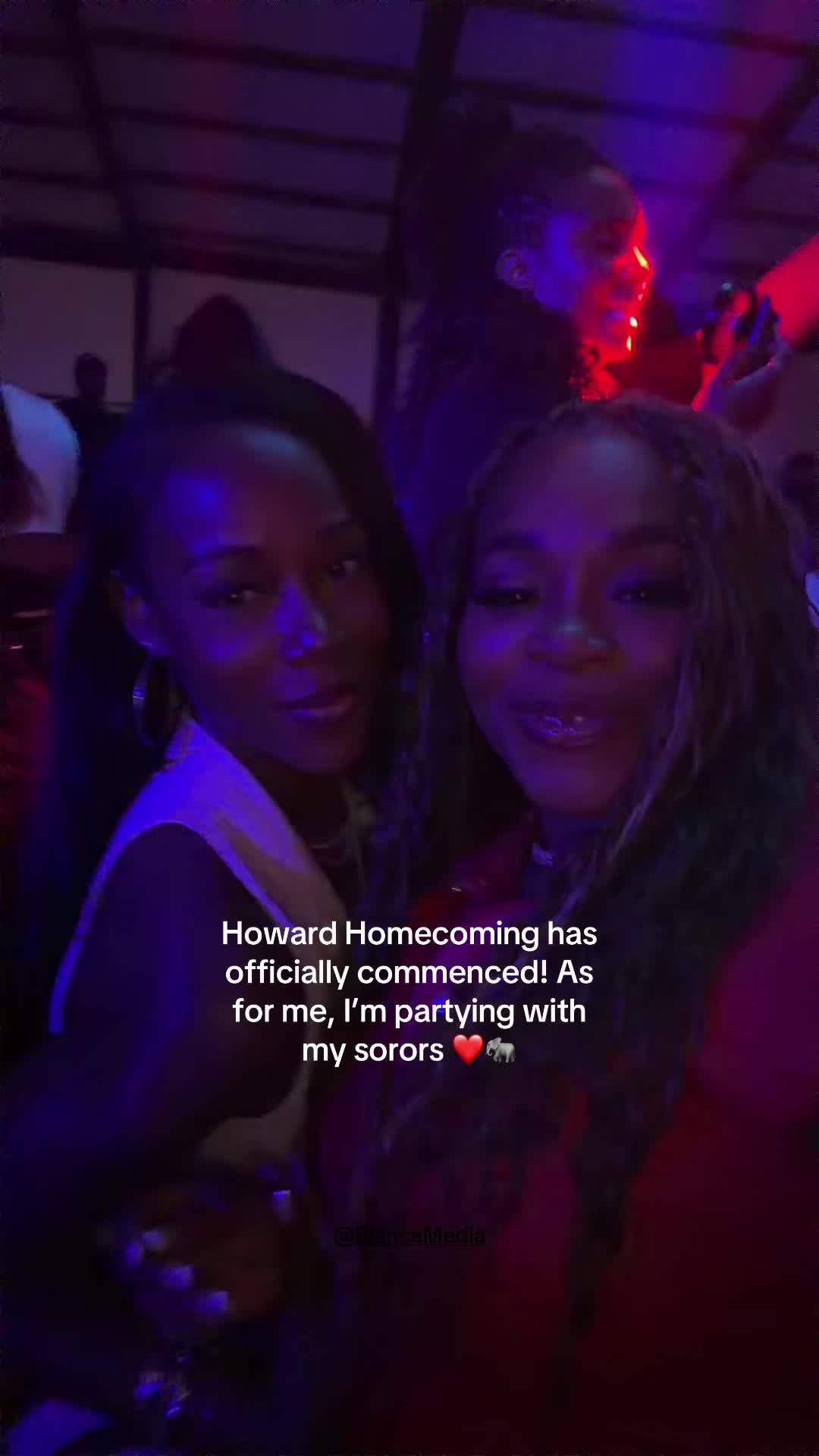 @montiegreen