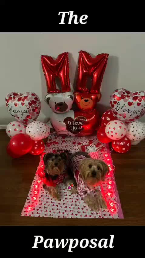 @Prince Loves CoCo