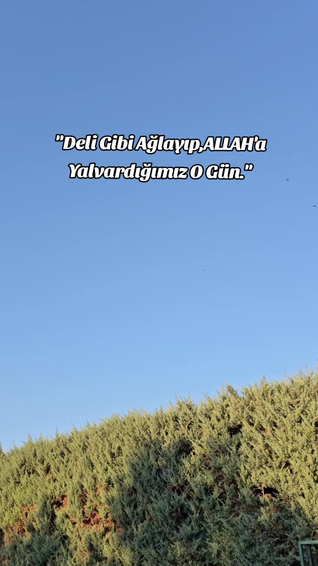 @𝐂𝐄𝐌𝐎