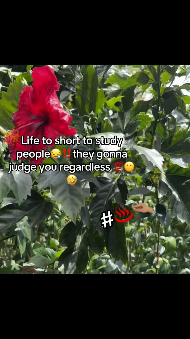 @☆࿐ཽ༵༆༒ 𝓡𝓪𝔂𝓪𝓷𝓷🎭༒༆࿐ཽ༵☆