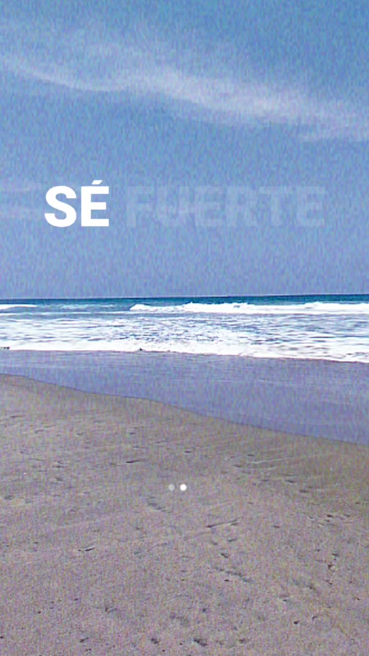 @Lili Meneses