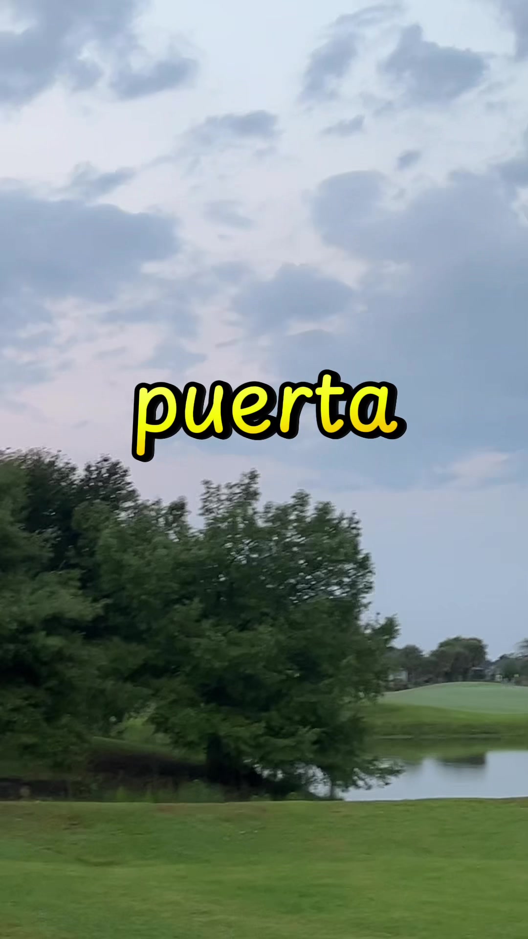 @masterzapata7dan