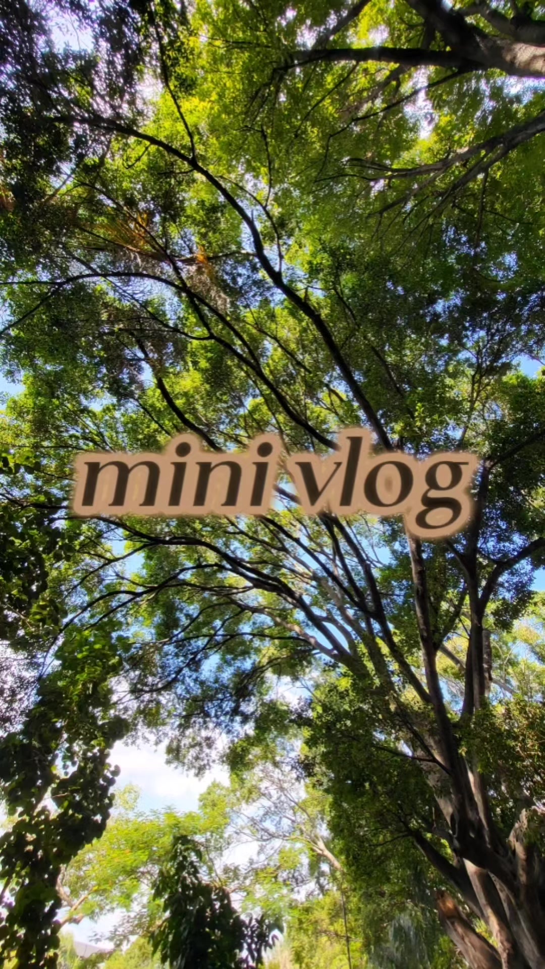 @bibi💌🐼 | 🤍✨️