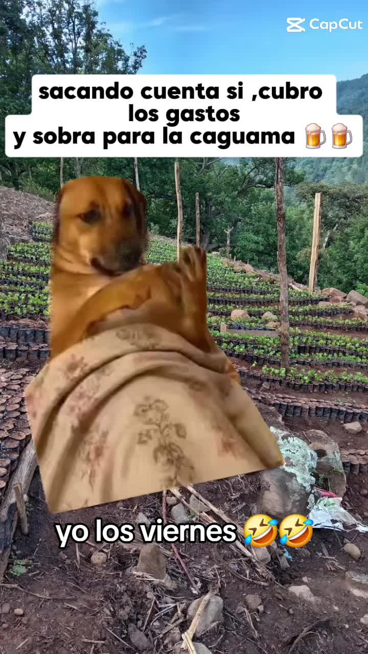 @๐๐ช Díaz ๐ญ๐ณโฝ