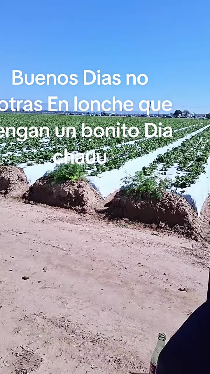 @catalinavlopez