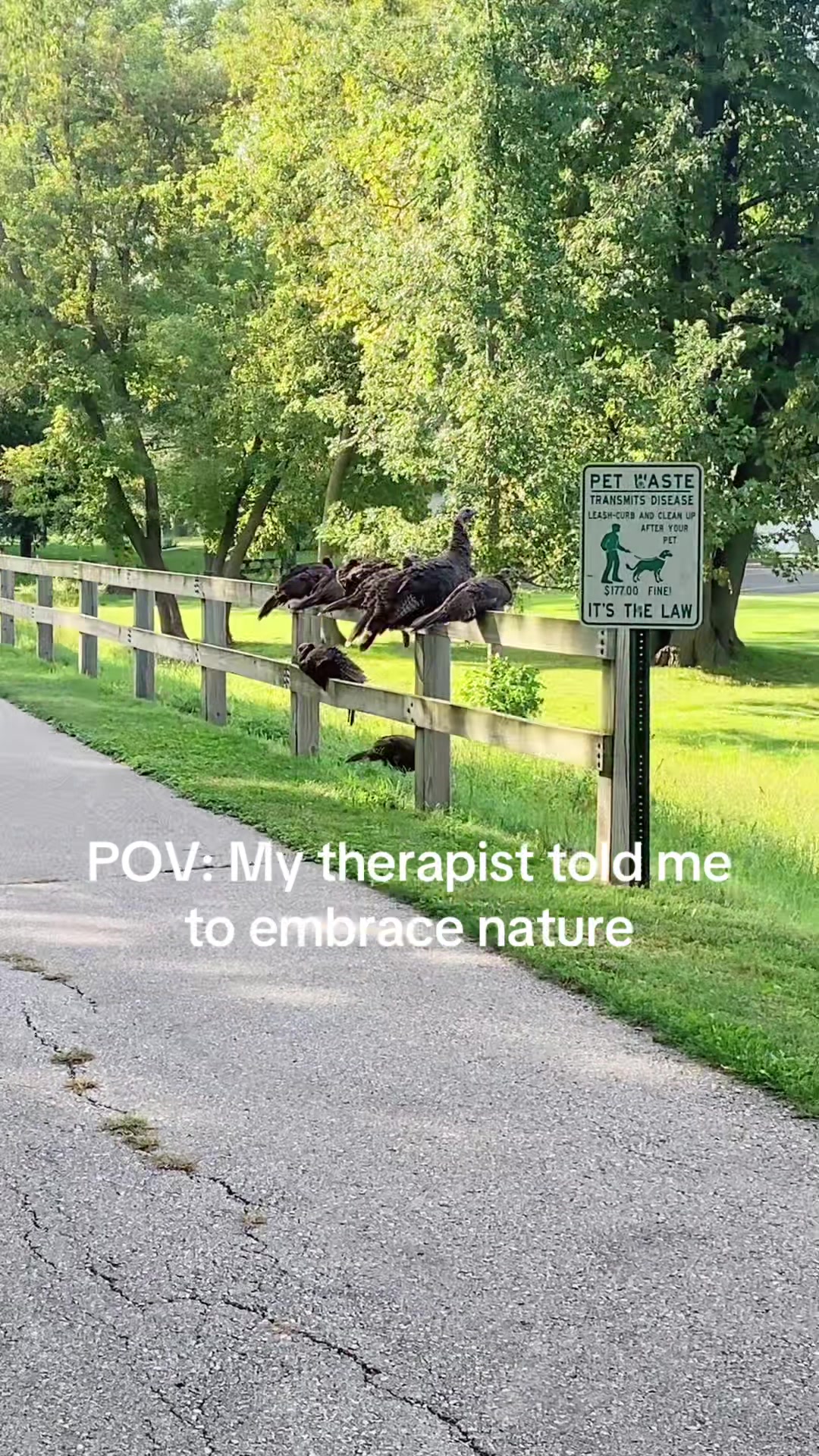 @Positively Pam