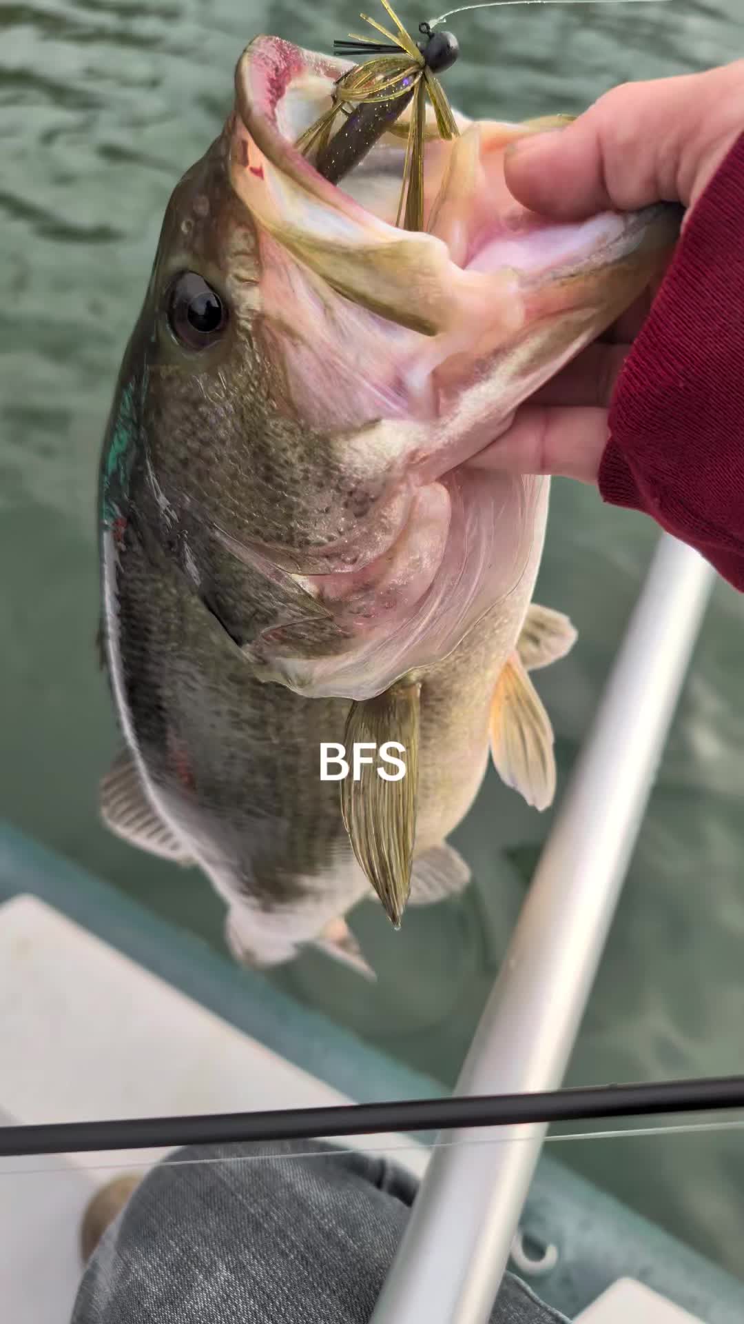 @BABSBIGZ827