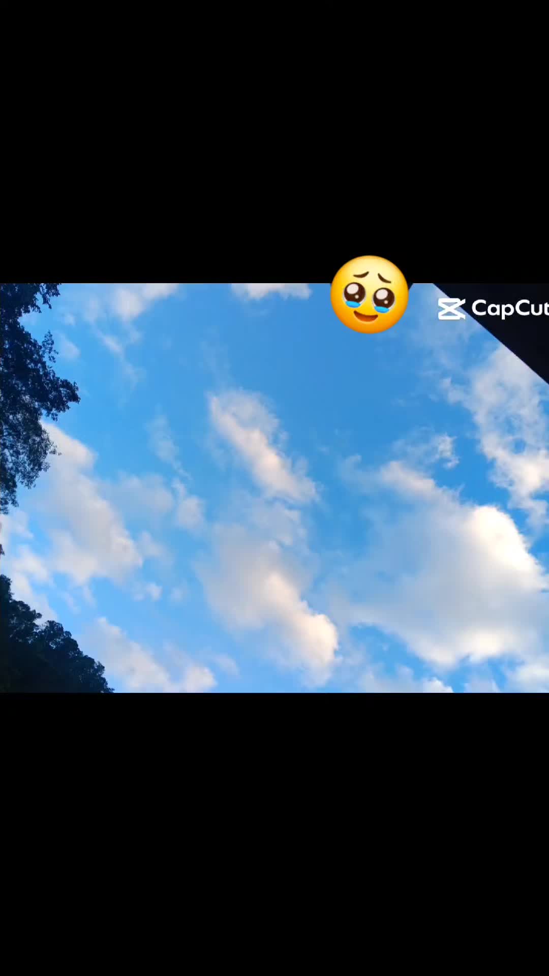 @𝓥𝓪𝓷𝓮🫶🏻🌷