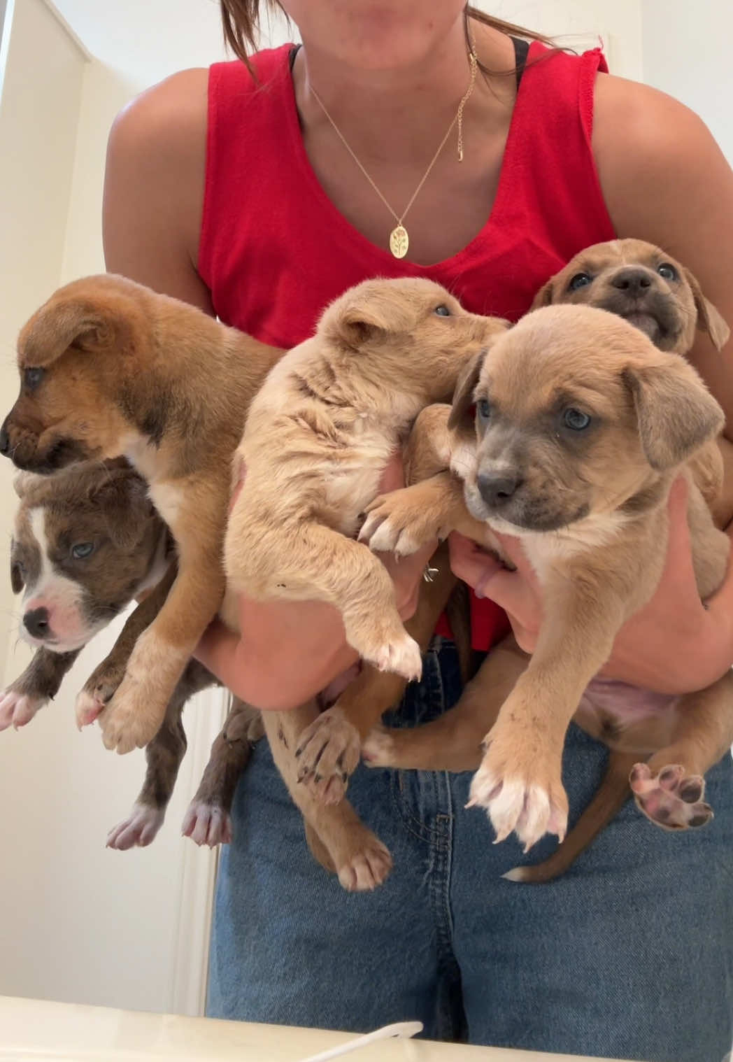 @Mady