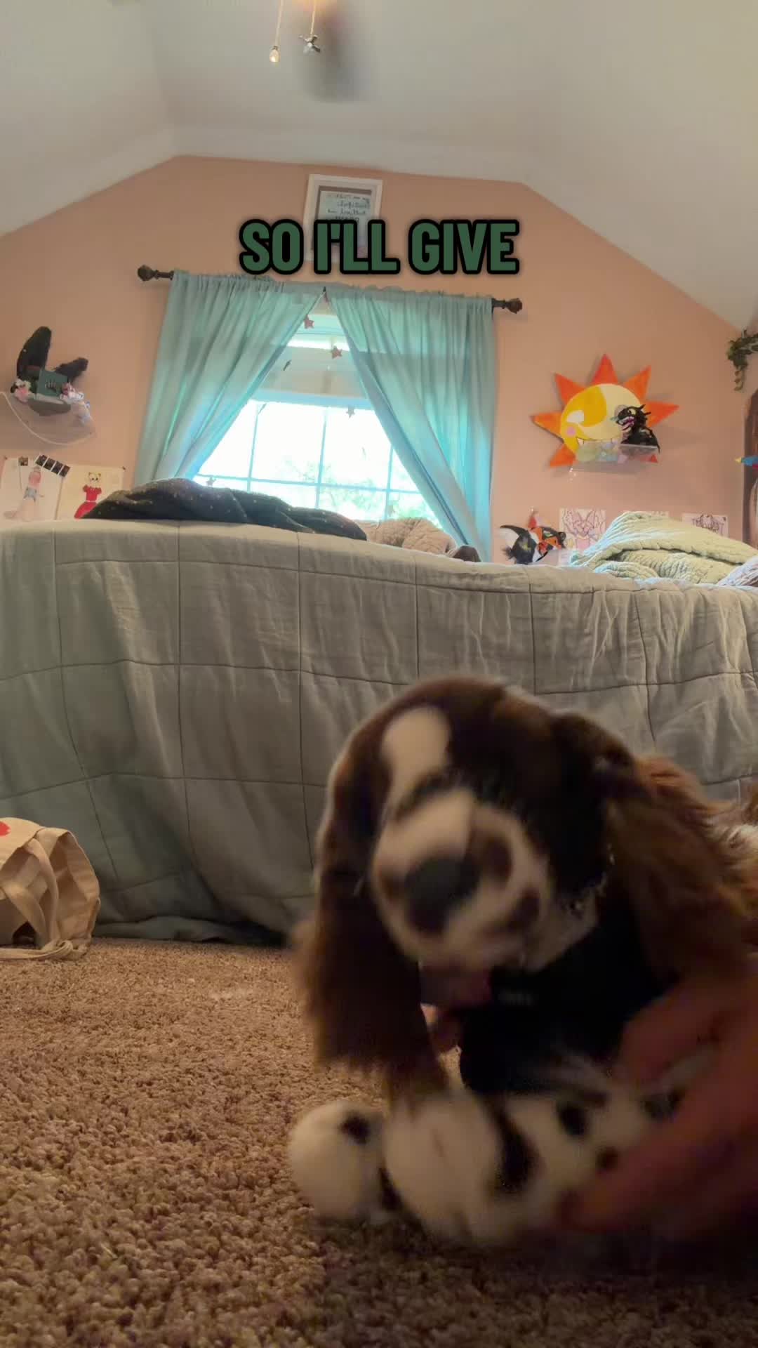 @pupplace
