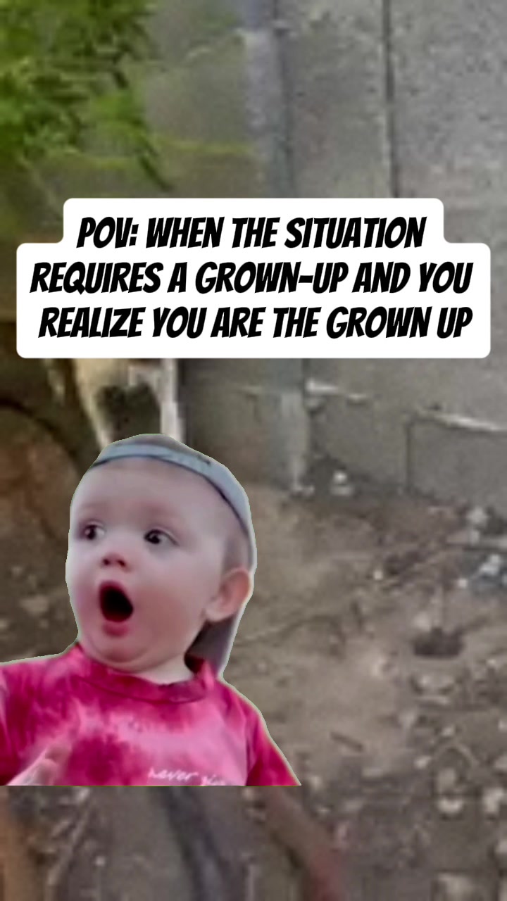 @Shepsky Mom
