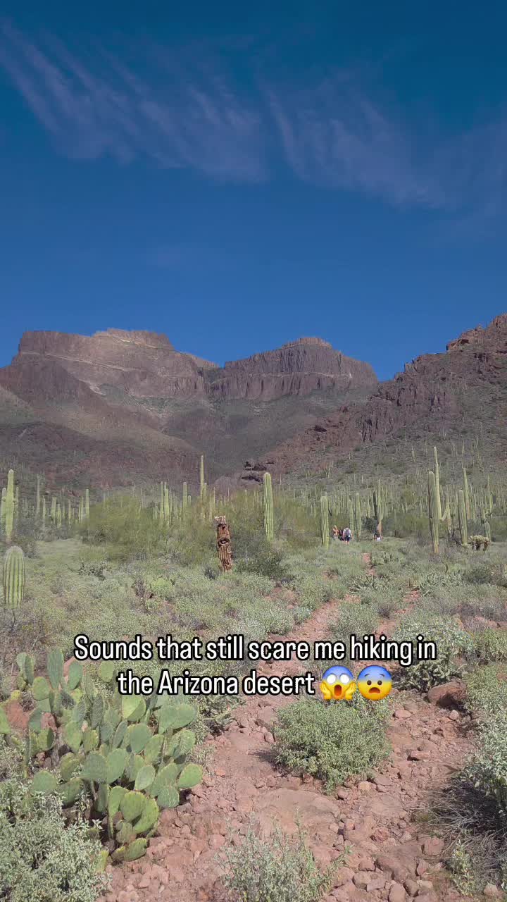 @rv.explore.repeat