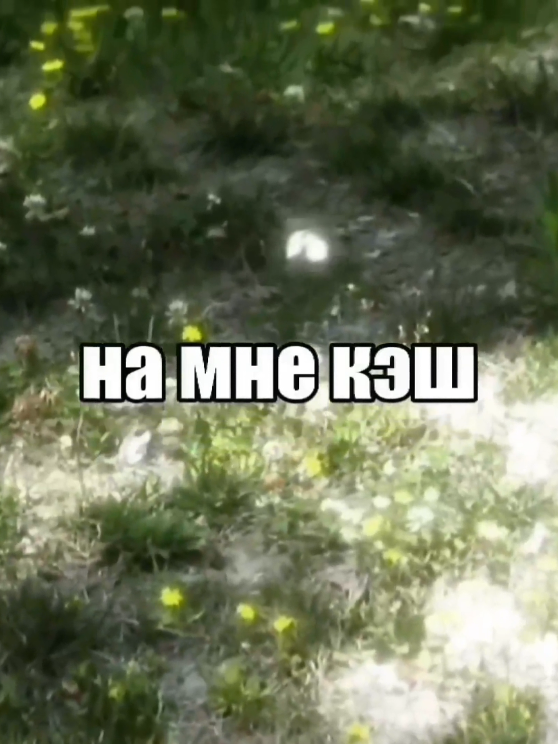 @size