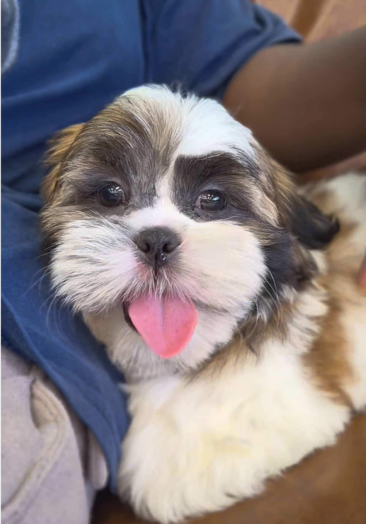 @Petland Oklahoma City