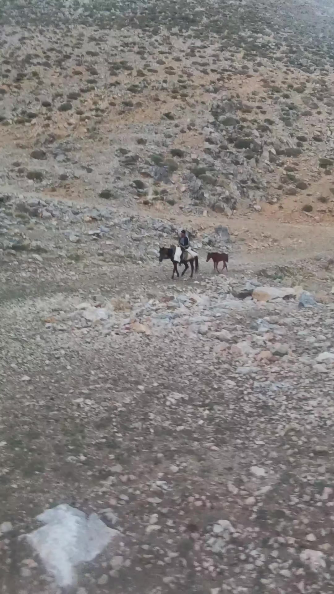 @DAĞCI.46
