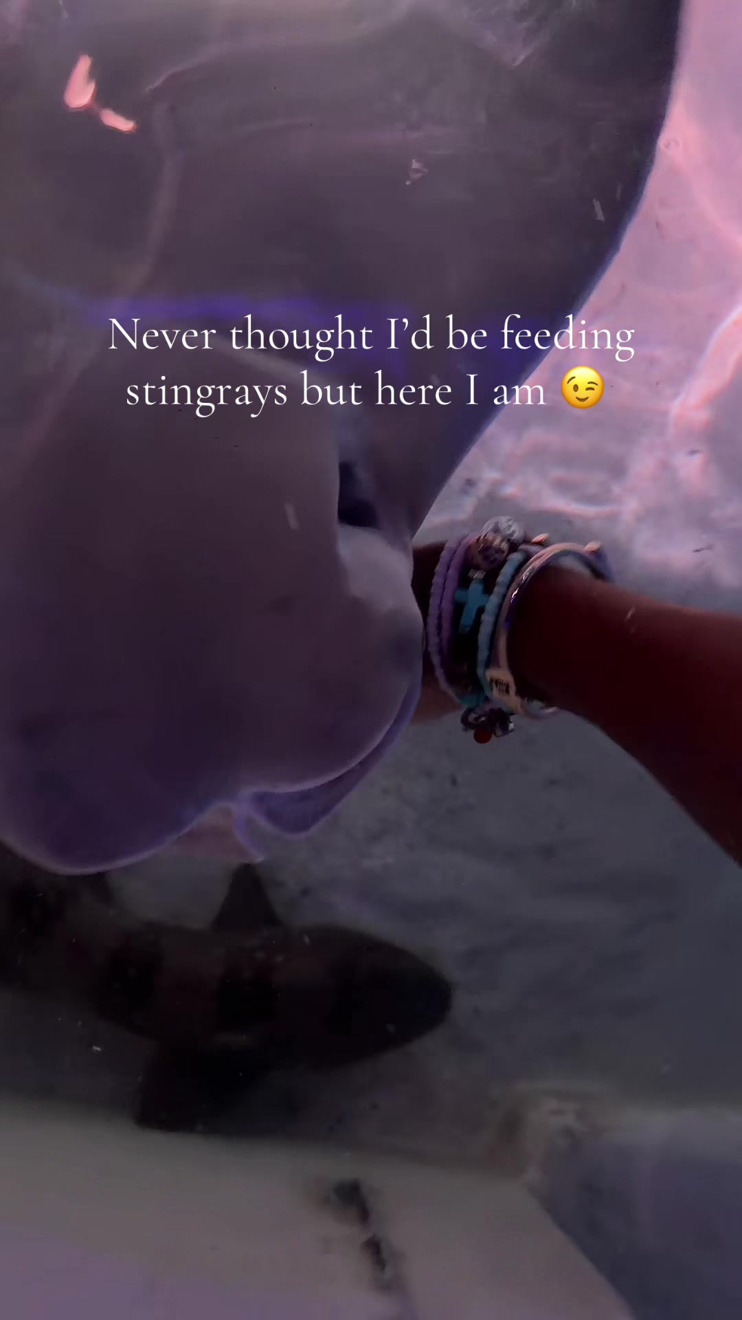 @La&rsquo;T Fishing
