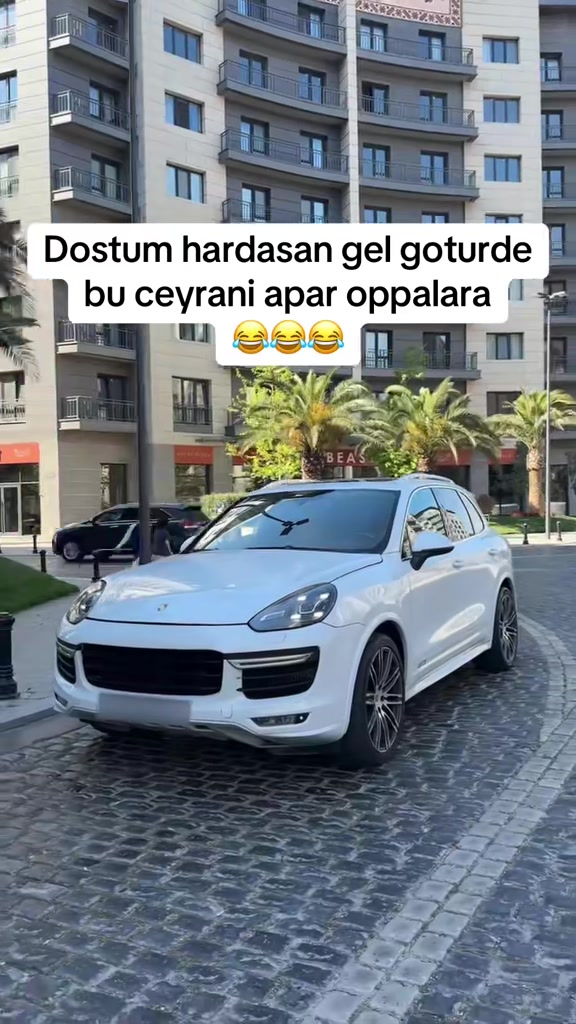 @Dost_rentacar