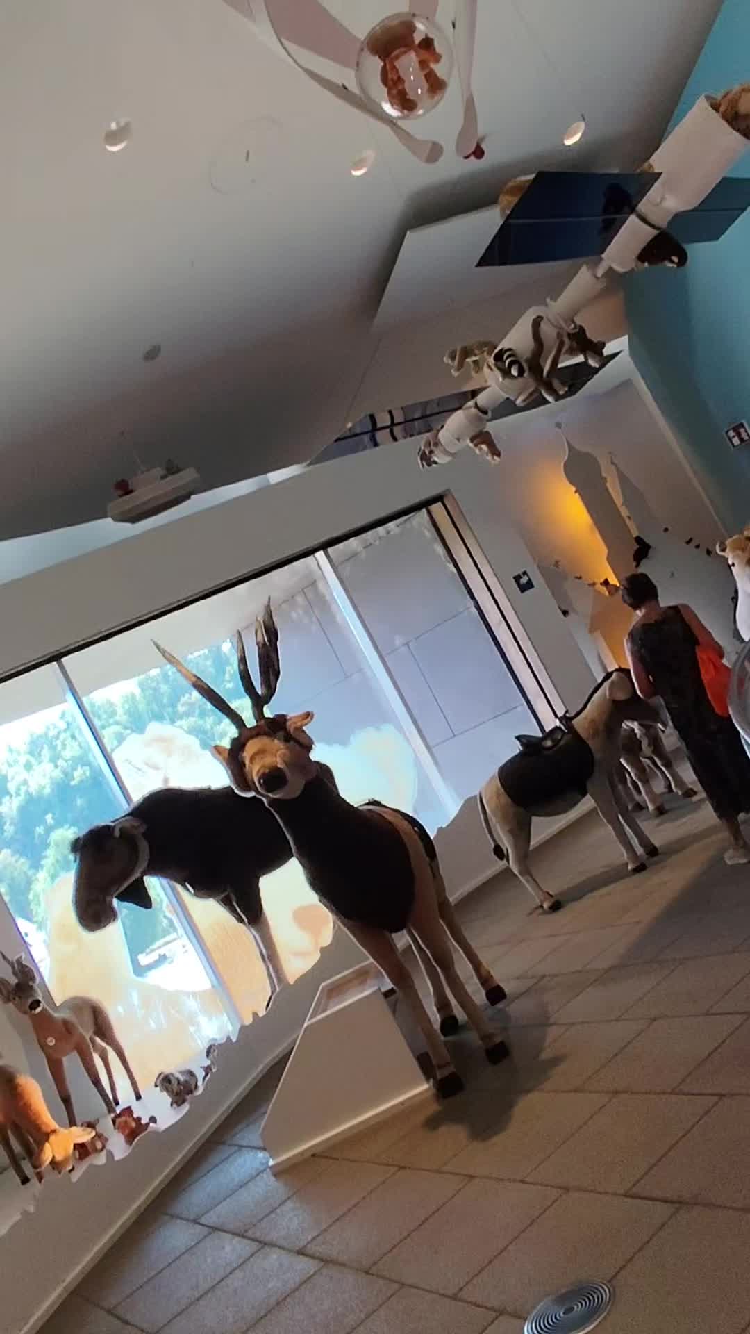 @Anja's WeißeWunderWelt