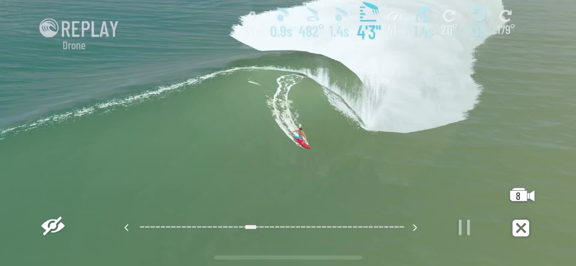 @True Surf goat