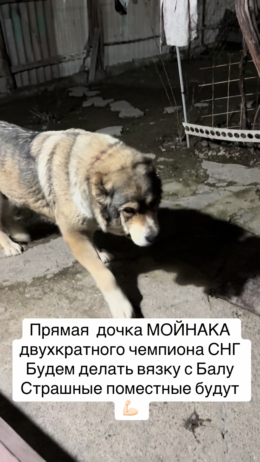 @БАЛУ