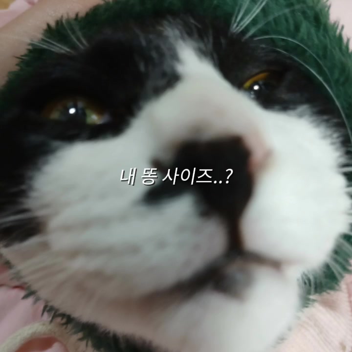 @에겐