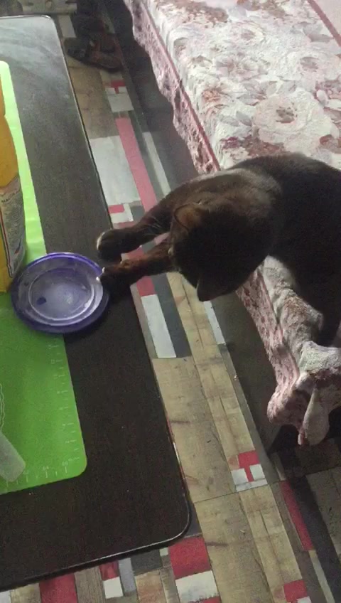 @❤️
