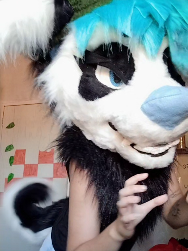 @𐂯✮⋆𝙷𝚞𝚙𝚘𝚕˙𓃡₊˚⊹🐾