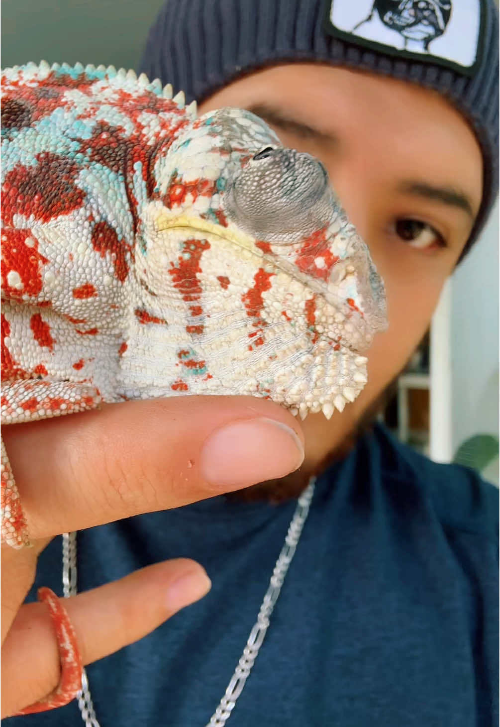 @ReptilMania