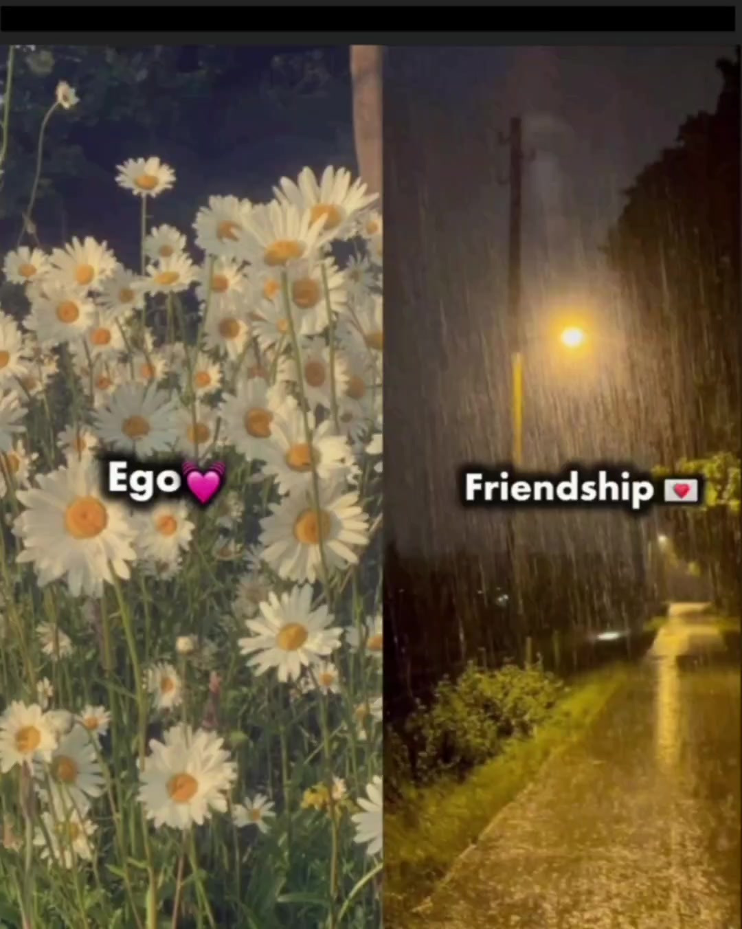 @⏤͟͟͞͞𝗧𝗔𝗡𝗛𝗔/تنها✧