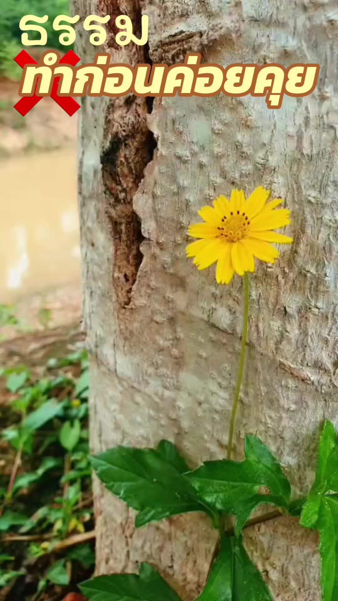 @ธรรมก่อน ค่อยคุย
